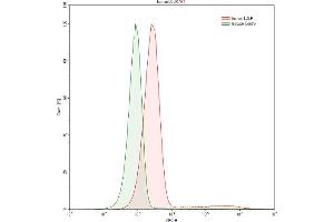 Detection of LDLR in HepG2 human hepatocellular carcinoma cell line using Polyclonal Antibody to Low Density Lipoprotein Receptor (LDLR) (LDLR antibody  (AA 497-742))