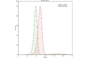 Detection of LDLR in HepG2 human hepatocellular carcinoma cell line using Polyclonal Antibody to Low Density Lipoprotein Receptor (LDLR) (LDLR antibody  (AA 497-742))