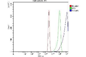 Flow Cytometry analysis of K562 cells using anti-ATG4A antibody (ABIN7599354). (ATG4A antibody  (AA 1-398))