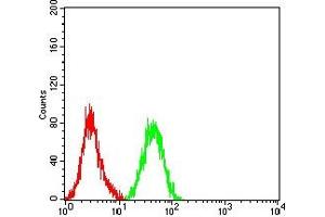 Flow cytometric analysis of HL-60 cells using CD10 mouse mAb (green) and negative control (red). (MME antibody  (AA 52-246))