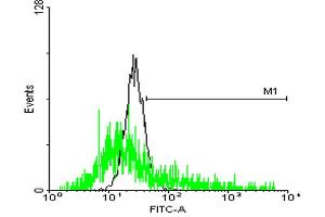 FACS analysis of negative control 293 cells (Black) and SSR2 expressing 293 cells (Green) using SSR2 purified MaxPab mouse polyclonal antibody. (SSR2 antibody  (AA 1-186))