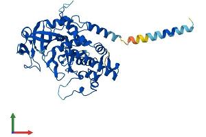AlphaFold protein structure predicition of Human Recombinant FAM20B Protein, UniprotID O75063 (FAM20B Protein (AA 1-409) (His tag))