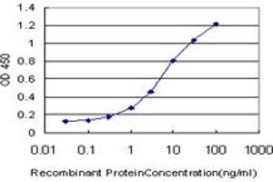 Detection limit for recombinant GST tagged SMAD5 is approximately 0. (SMAD5 antibody  (AA 105-182))
