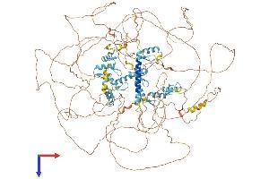 AlphaFold protein structure predicition of Human Recombinant SALL3 Protein, UniprotID Q9BXA9 (SALL3 Protein (AA 1-1300) (His tag))