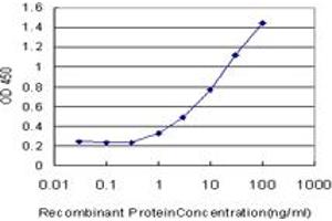 Detection limit for recombinant GST tagged MECP2 is approximately 1ng/ml as a capture antibody. (MECP2 antibody  (AA 81-170))