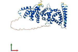 AlphaFold protein structure predicition of Human Recombinant FBXO47 Protein, UniprotID Q5MNV8