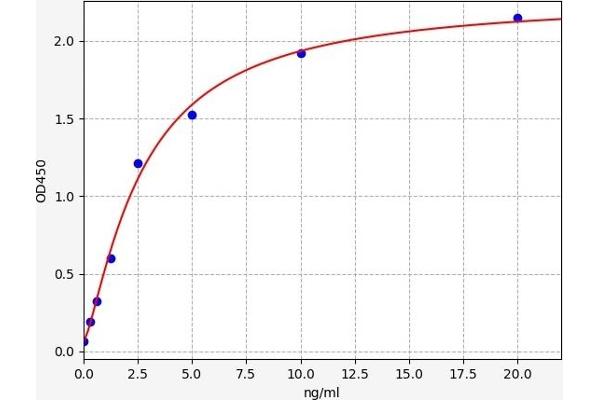TOR2A ELISA Kit