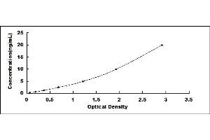 Typical standard curve (TFAM ELISA Kit)