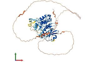 Protein Structure (PS) image for Mitogen-Activated Protein Kinase 15 (MAPK15) (AA 1-549) protein (His tag) (ABIN7558434)