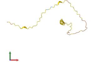 AlphaFold protein structure predicition of Human Recombinant DIRC1 Protein, UniprotID Q969H9