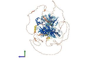 AlphaFold protein structure predicition of Mouse Recombinant Hfm1 Protein, UniprotID D3Z4R1 (HFM1 Protein (AA 1-1434) (His tag))