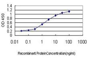 Detection limit for recombinant GST tagged HHEX is approximately 0. (HHEX antibody  (AA 1-270))