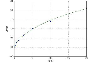 Stabilin 2 (STAB2) ELISA Kit