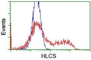 HEK293T cells transfected with either RC209197 overexpress plasmid (Red) or empty vector control plasmid (Blue) were immunostained by anti-HLCS antibody (ABIN2455633), and then analyzed by flow cytometry. (HLCS antibody)