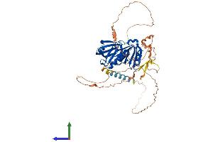 Protein Structure (PS) image for Docking Protein 7 (DOK7) (AA 1-504) protein (His tag) (ABIN7556993)