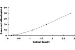 Typical standard curve (TREH ELISA Kit)