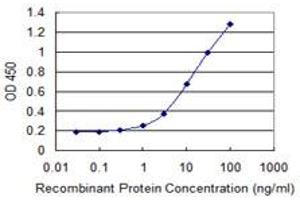 Detection limit for recombinant GST tagged MDH2 is 0. (MDH2 antibody  (AA 134-246))