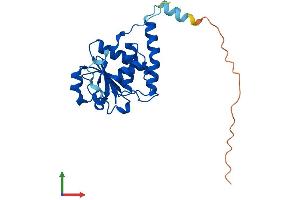 AlphaFold protein structure predicition of Human Recombinant STYX Protein, UniprotID Q8WUJ0