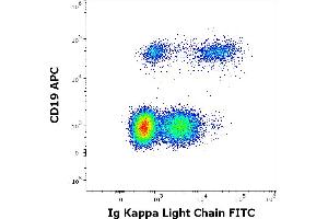 Flow cytometry multicolor surface staining of human lymphocytes stained using anti-human Ig kappa light chain (A8B5) FITC antibody (20 μL reagent / 100 μL of peripheral whole blood) and anti-human CD19 (LT19) APC antibody (10 μL reagent / 100 μL of peripheral whole blood). (kappa Light Chain antibody  (FITC))