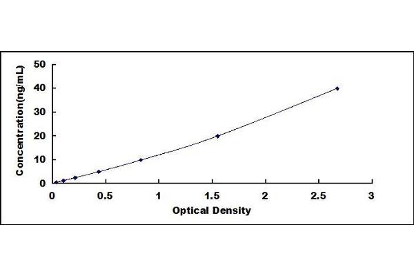 Synaptophysin ELISA Kit