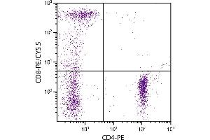 Human peripheral blood lymphocytes were stained with Mouse Anti-Human CD8-PE/CY5. (CD8 antibody  (PE-Cy5.5))