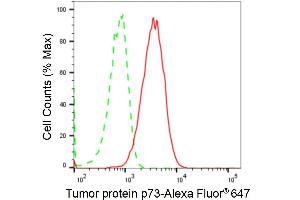 Flow cytometric analysis of Tumor protein p73 expression in HAP-1 cells using Tumor protein p73 antibody (ABIN7800694), 1:2,000).