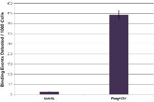 Histone H2Av antibody (mAb) tested by ChIP. (H2AFV antibody  (C-Term))