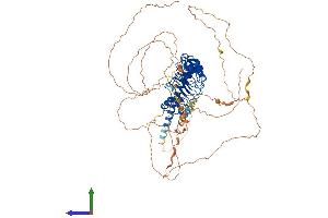 AlphaFold protein structure predicition of Human Recombinant DNAAF1 Protein, UniprotID Q8NEP3