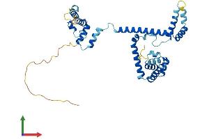 AlphaFold protein structure predicition of Mouse Recombinant Dnajc25 Protein, UniprotID A2ALW5