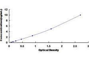 Protein L-Myc (MYCL) ELISA Kit