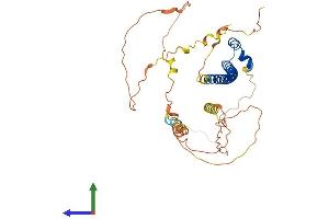 AlphaFold protein structure predicition of Human Recombinant MAF Protein, UniprotID O75444 (MAF Protein (AA 1-373) (His tag))