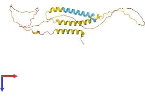 Interferon Induced Transmembrane Protein 10 (IFITM10) (AA 1-228) protein (His tag)