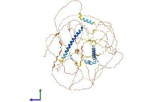 AlphaFold protein structure predicition of Mouse Recombinant Fam149a Protein, UniprotID Q8CFV2 (FAM149A Protein (AA 1-787) (His tag))