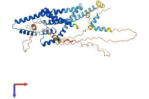 AlphaFold protein structure predicition of Human Recombinant KCNK5 Protein, UniprotID O95279 (KCNK5 Protein (AA 1-499) (His tag))