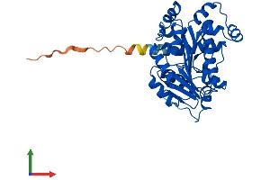 AlphaFold protein structure predicition of Human Recombinant LCMT1 Protein, UniprotID Q9UIC8