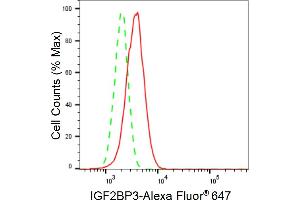 Flow cytometric analysis of IGF2BP3 expression in HepG2 cells using IGF2BP3 antibody (ABIN7799052), 1:2,000). (Recombinant IGF2BP3 antibody)