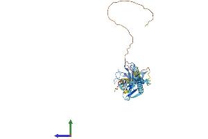 AlphaFold protein structure predicition of Human Recombinant RNF133 Protein, UniprotID Q8WVZ7