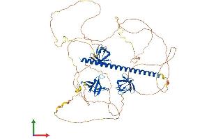 Protein Structure (PS) image for SH3-Domain Kinase Binding Protein 1 (SH3KBP1) (AA 1-665) protein (His tag) (ABIN7555493)