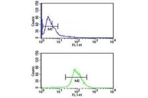 NRP1 antibody flow cytometric analysis of MDA-MB435 cells (green) compared to a negative control (blue). (Neuropilin 1 antibody  (AA 722-750))