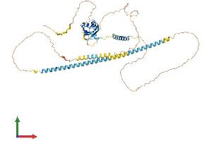 AlphaFold protein structure predicition of Human Recombinant SREK1 Protein, UniprotID Q8WXA9 (SFRS12 Protein (AA 1-508) (His tag))