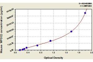WFDC2 ELISA Kit