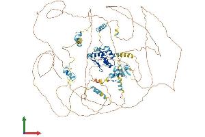 AlphaFold protein structure predicition of Mouse Recombinant Tshz2 Protein, UniprotID Q68FE9 (TSHZ2 Protein (AA 1-1030) (His tag))