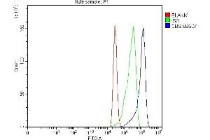 Flow Cytometry analysis of MCF-7 cells using anti-CBS antibody (ABIN7599635). (CBS antibody  (AA 102-342))
