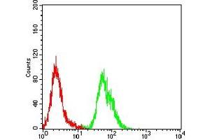 Flow cytometric analysis of Hela cells using ATR mouse mAb (green) and negative control (red). (ATR antibody  (AA 366-550))