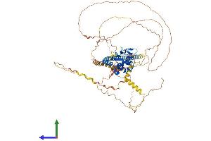 AlphaFold protein structure predicition of Human Recombinant TSPYL2 Protein, UniprotID Q9H2G4 (TSPY-Like 2 Protein (TSPYL2) (AA 1-693) (His tag))