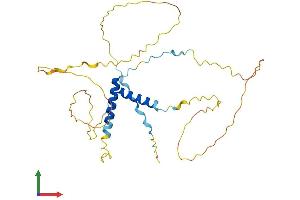 AlphaFold protein structure predicition of Mouse Recombinant Prr18 Protein, UniprotID Q6PAN7 (Proline Rich 18 Protein (PRR18) (AA 1-307) (His tag))