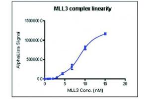 Recombinant MLL3 Complex activity using AlphaLISA. (MLL3 Complex (AA 4740-4911) protein (GST tag))