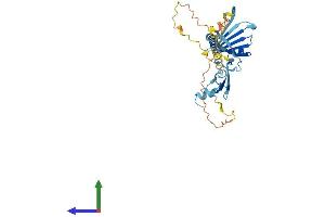Protein Structure (PS) image for Tenomodulin (TNMD) (AA 1-317) protein (His tag) (ABIN7544699)