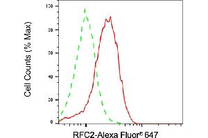 Flow cytometric analysis of RFC2 expression in HepG2 cells using RFC2 antibody (ABIN7800169), 1:2,000). (RFC2 antibody)