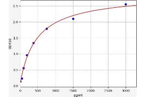 ECM1 ELISA Kit